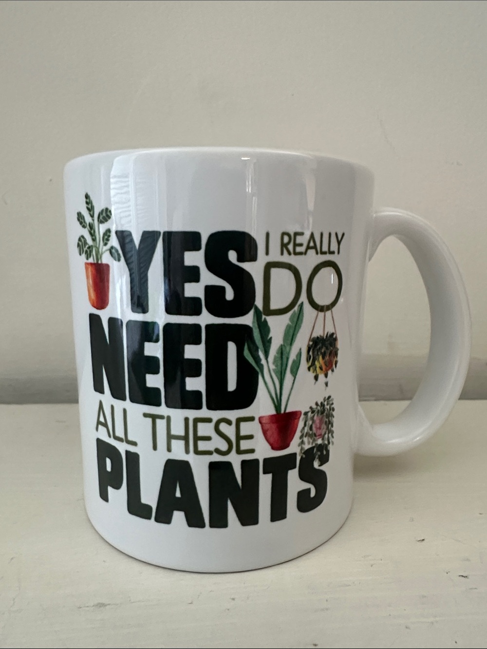 Crazy Plant Lady Plant Mom Ceramic Mug